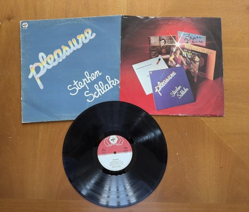 Disco vinile stephen - vinile,